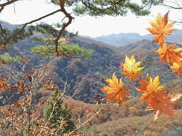 【速报】明星在今日凌晨遭遇猛料震撼人心，age动漫全网炸锅，详情点击