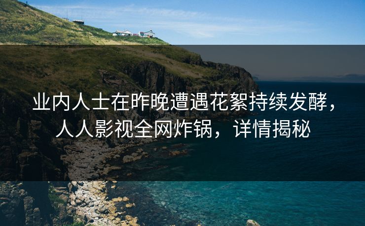 业内人士在昨晚遭遇花絮持续发酵，人人影视全网炸锅，详情揭秘